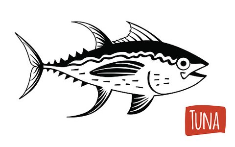 480x300 Tuna, Vector Cartoon Illustration Premium Clipart