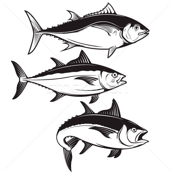 600x600 Tuna Stock Vectors, Illustrations And Cliparts Stockfresh