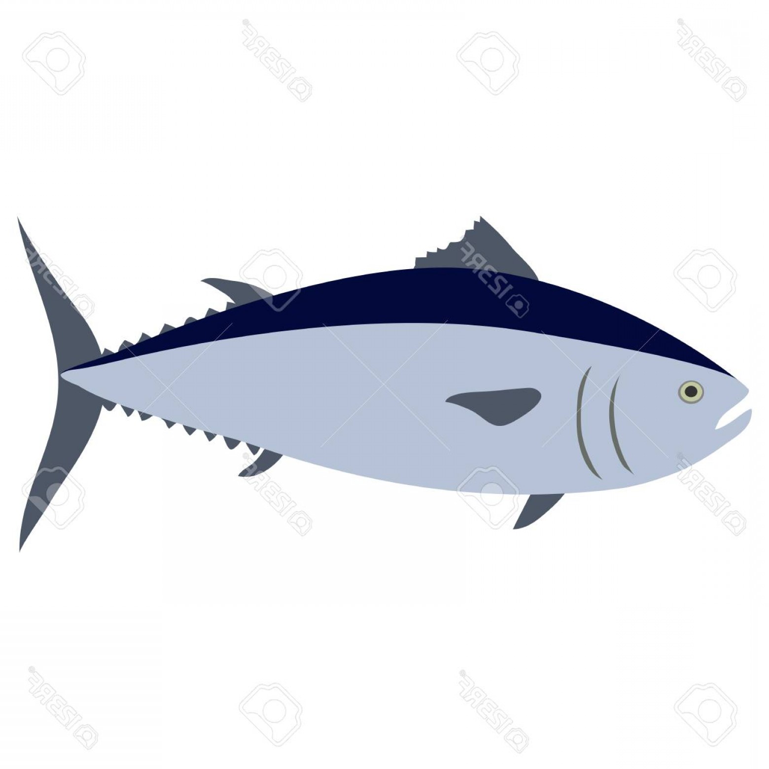 1560x1560 Tuna Vector Lamaison