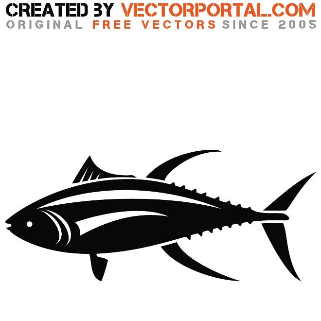 660x660 Tuna Vector Graphics Animal Vectors Free Vector Graphics
