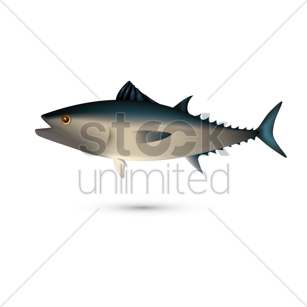 600x600 Yellow Fin Tuna Vector Image
