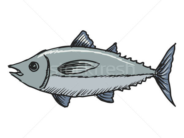 600x450 Tuna Vector Illustration Oleksandr Kovalenko