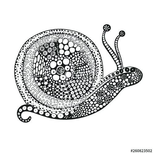 500x500 Snail Coloring