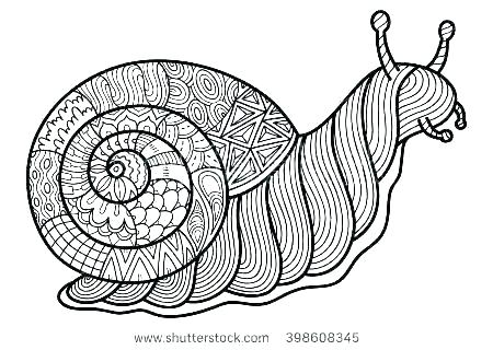 450x320 Snail Coloring Pages