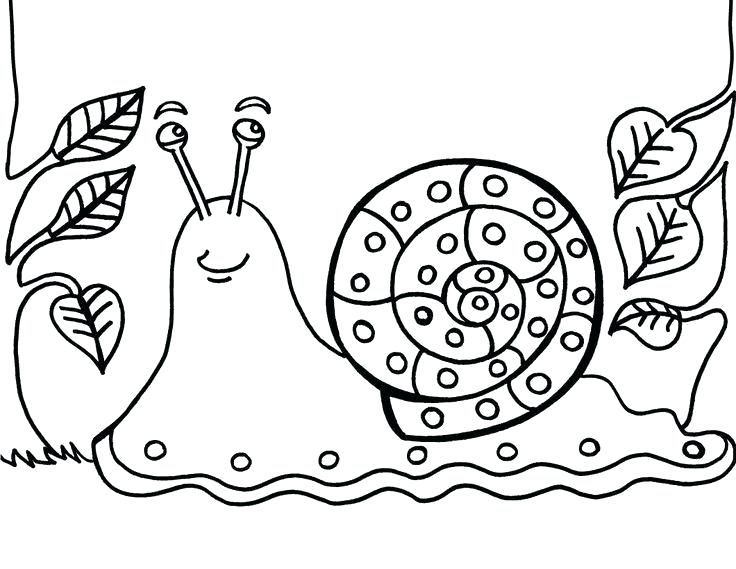 736x569 Snail Coloring Pages