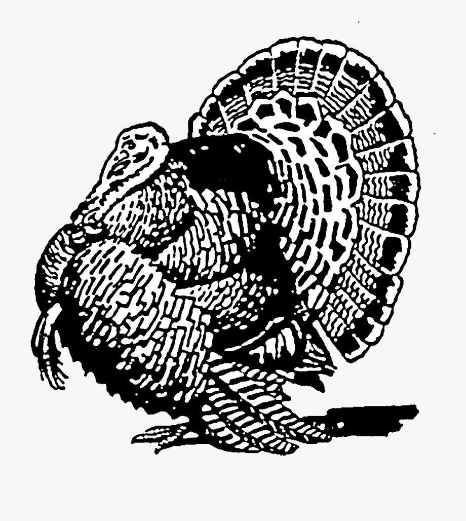 920x1028 Turkey Clipart