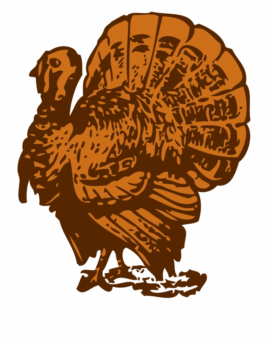 920x1172 Turkey Png