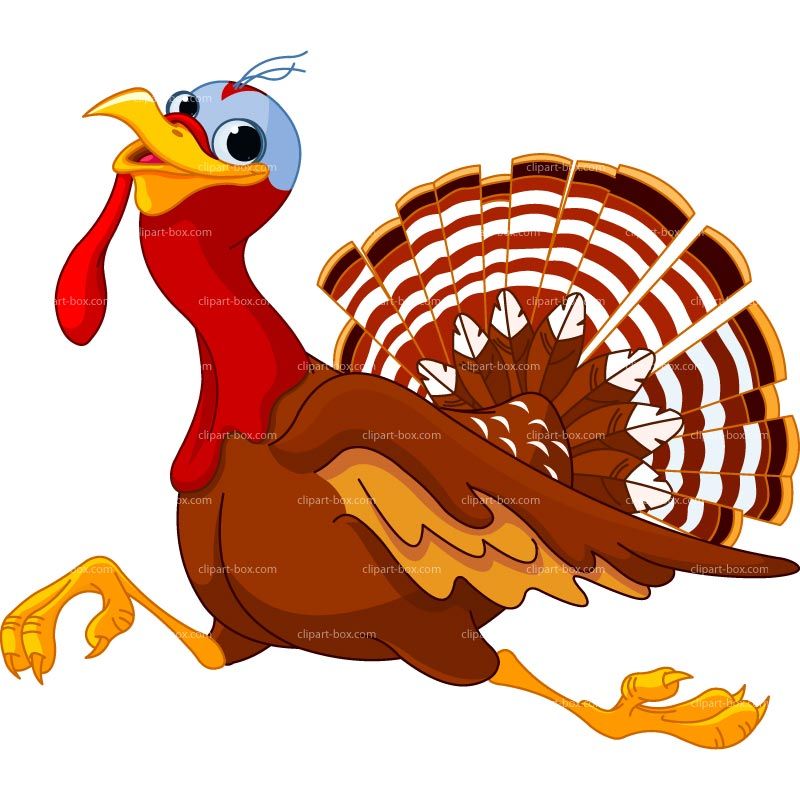 800x800 Clipart Running Turkey Royalty Free Vector Design Turkey