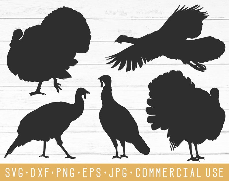 Download Turkey Silhouette Vector at Vectorified.com | Collection ...