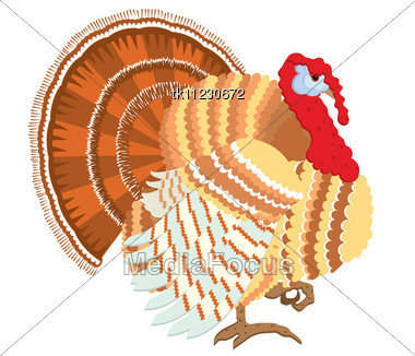 380x326 Stock Photo Color Turkey Vector Thanksgiving Day