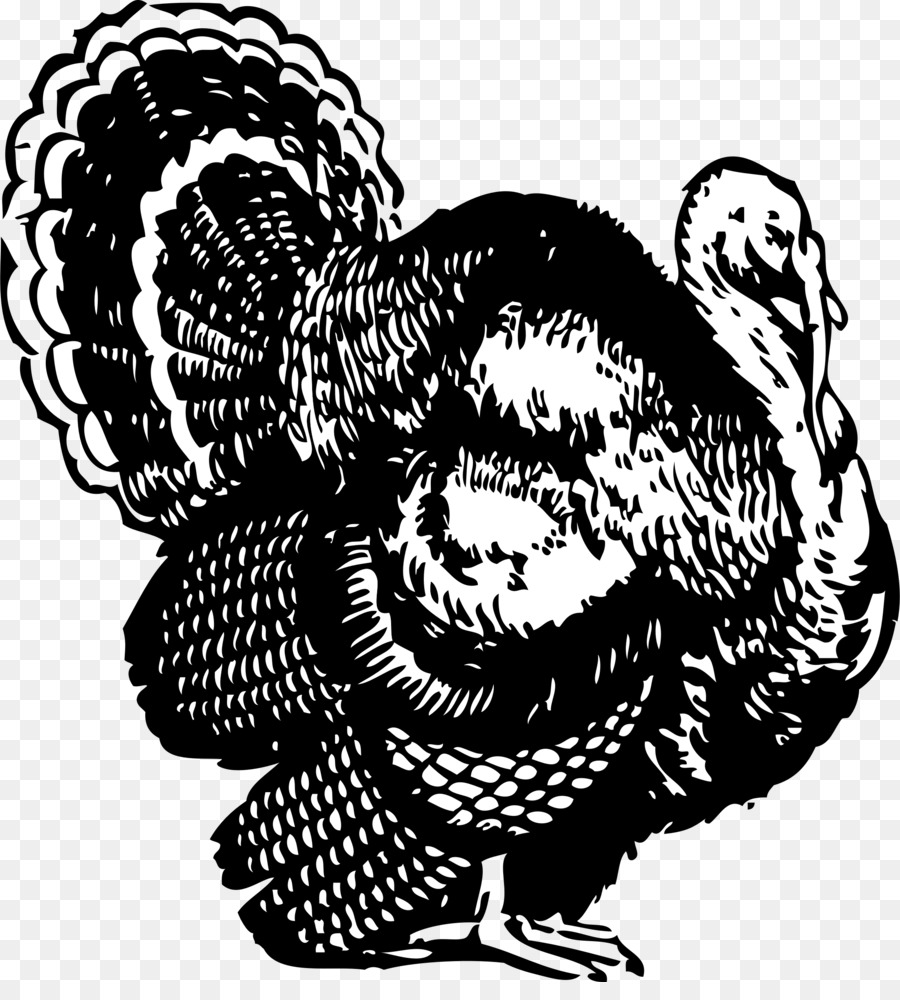 900x1000 Thanksgiving Turkey Drawing Clipart