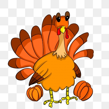 360x360 Turkey Png, Vector, And Clipart With Transparent Background