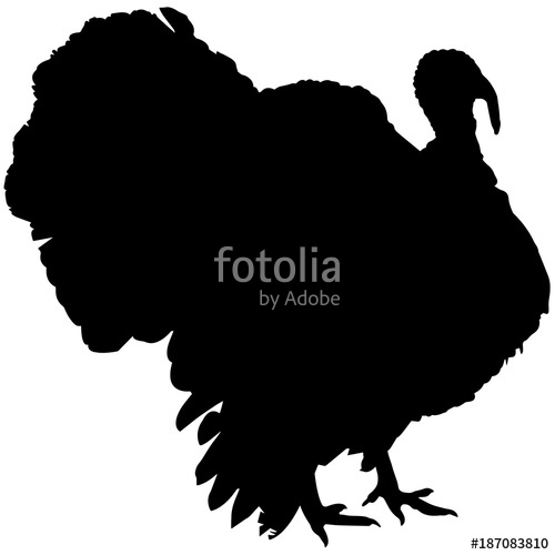 500x500 Turkey Silhouette Vector Graphics Stock Image And Royalty Free