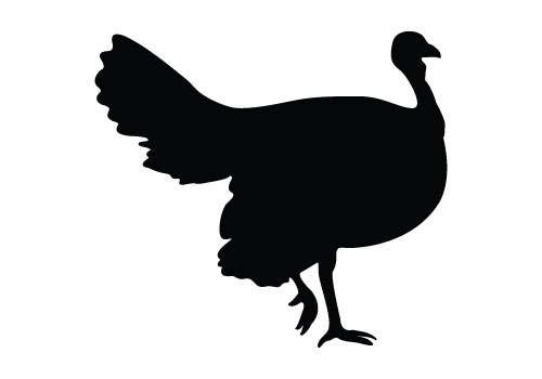 500x350 Turkey Silhouette Vector
