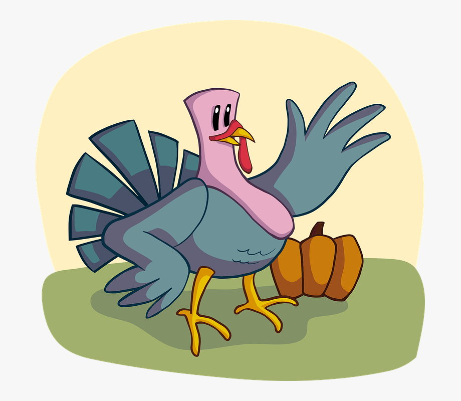 920x800 Turkey Vector Graphics