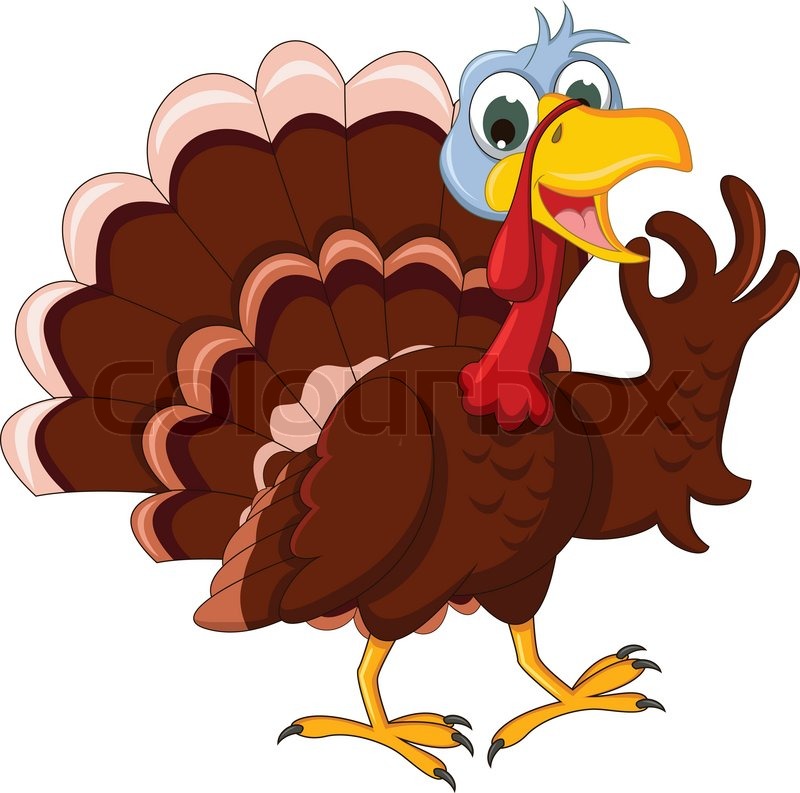 800x793 Vector Illustration Of Funny Turkey Stock Vector Colourbox