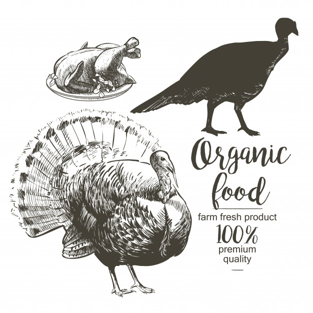 626x626 Roasted Turkey