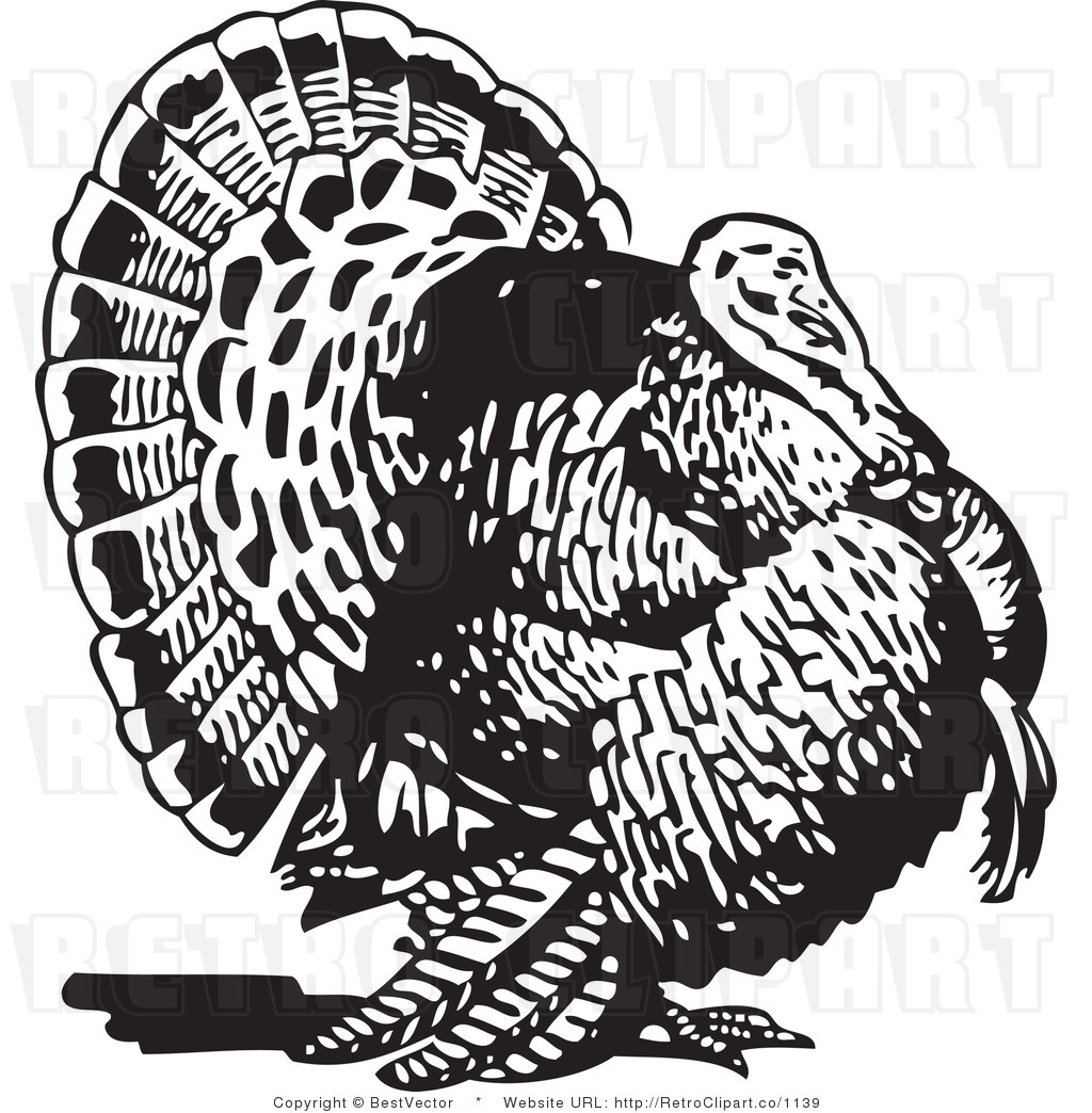 Turkey Vector Art