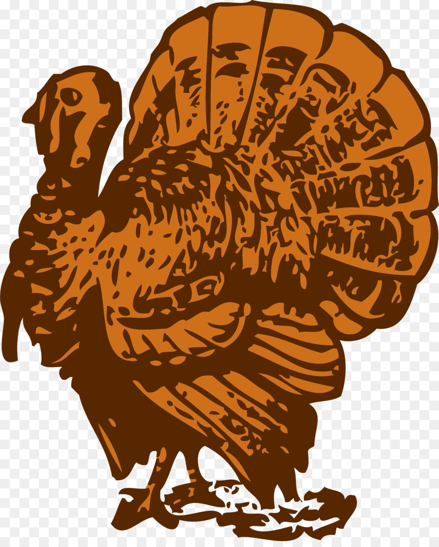 900x1120 Thanksgiving Turkey Drawing Clipart