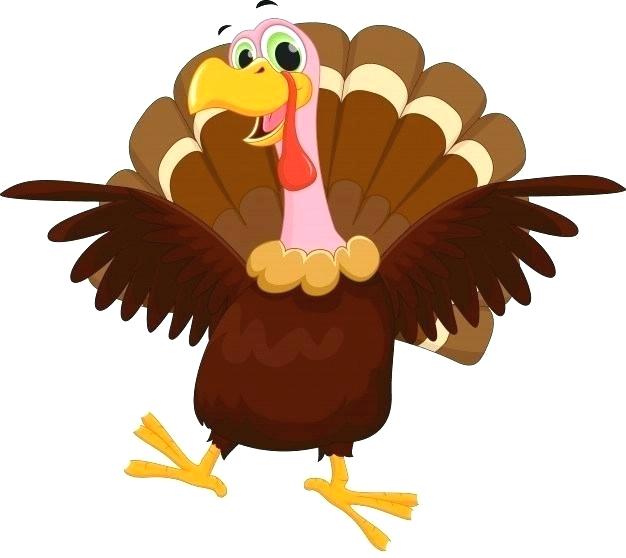 626x558 Cartoon Turkey Pics