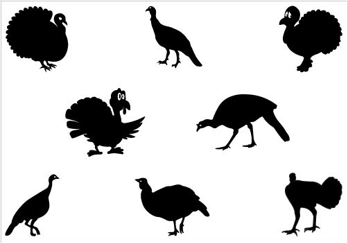 502x352 Awesome Turkey Vectors In Different Styles Perfect