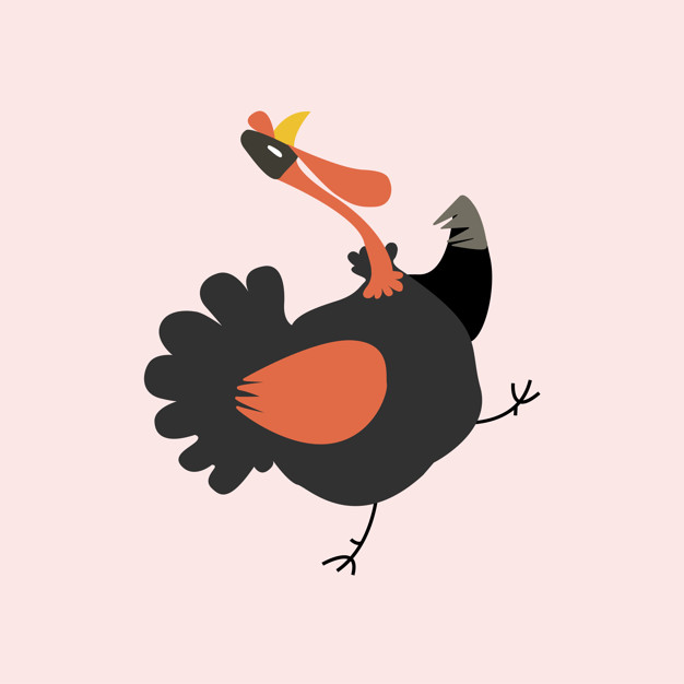 626x626 Cute Illustration Of A Turkey Vector Free Download