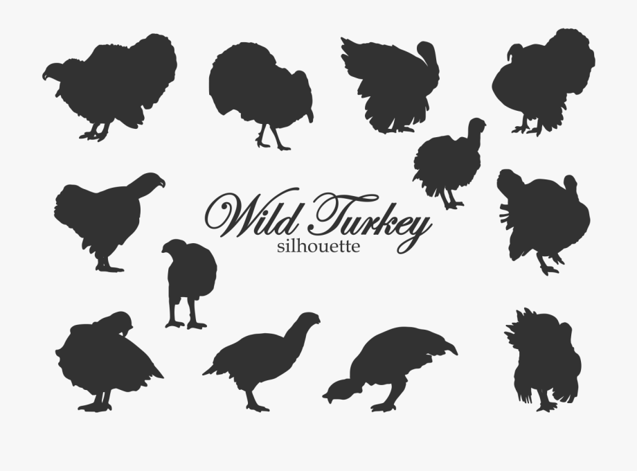 920x680 Turkey Clipart