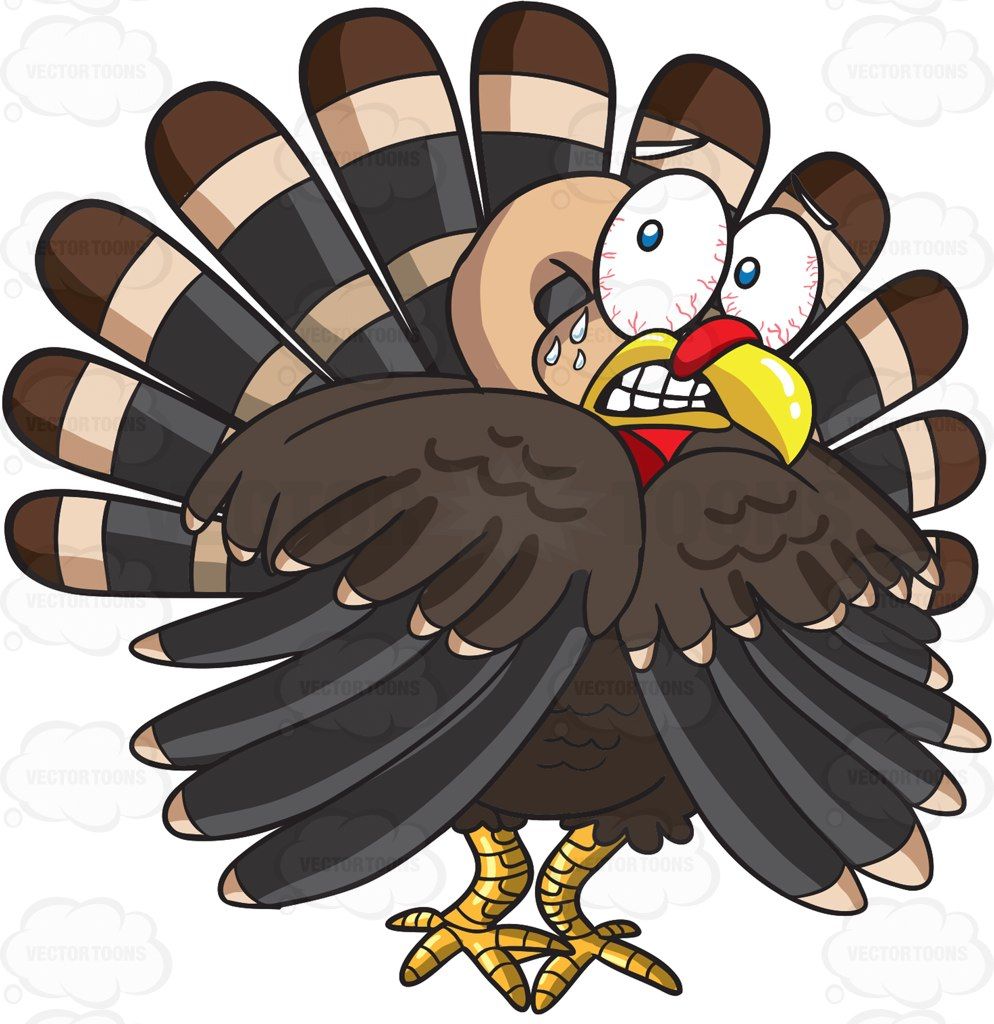 994x1024 A Terrified Turkey School Stock Art, Turkey, Vector Graphics