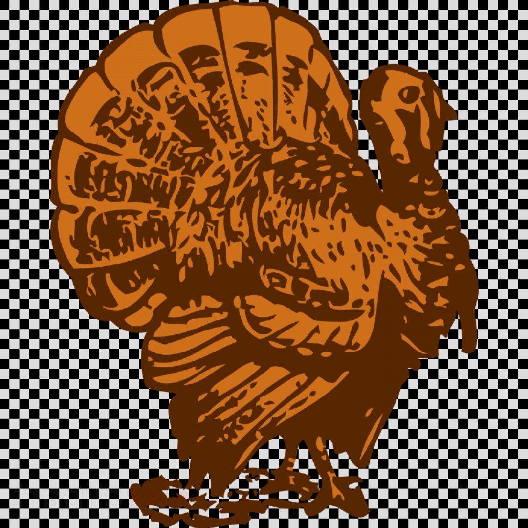 1080x1080 Turkey Vector Clip Catchsplace