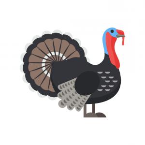 Free Wild Turkey Icons Vector Hoodamathrun 300x300 Free Wild Turkey Icons Vector Hoodamathrun