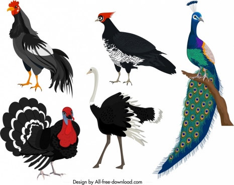 Turkey Free Vector Download 466x368 Turkey Free Vector Download