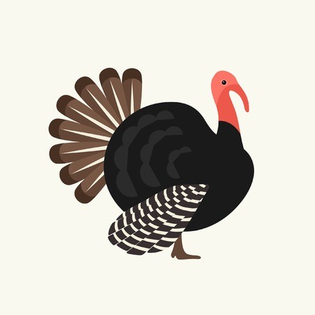 Turkey Vector Illustration Royalty Free Vector Graphics 450x450 Turkey Vector Illustration Royalty Free Vector Graphics