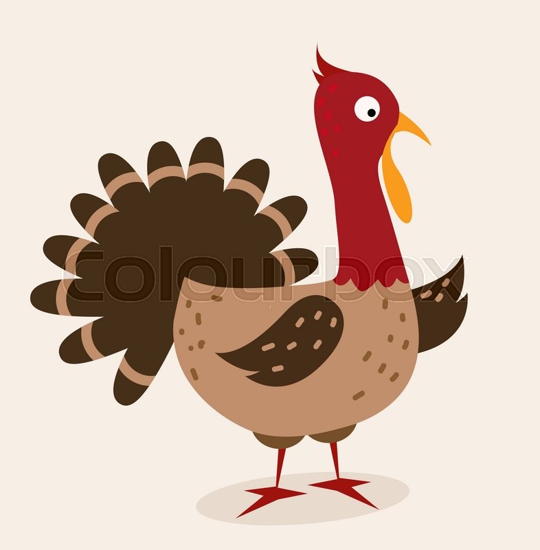 Turkey Vector Image