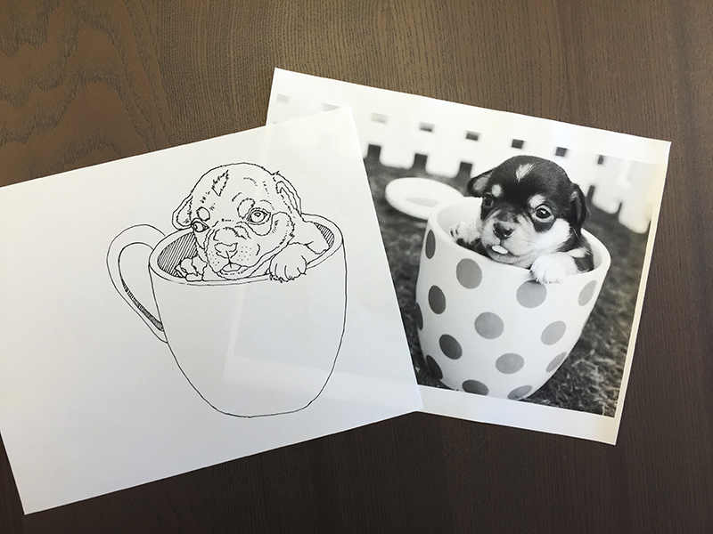 800x600 How To Turn A Photo Into A Vector Line Art With Illustrator