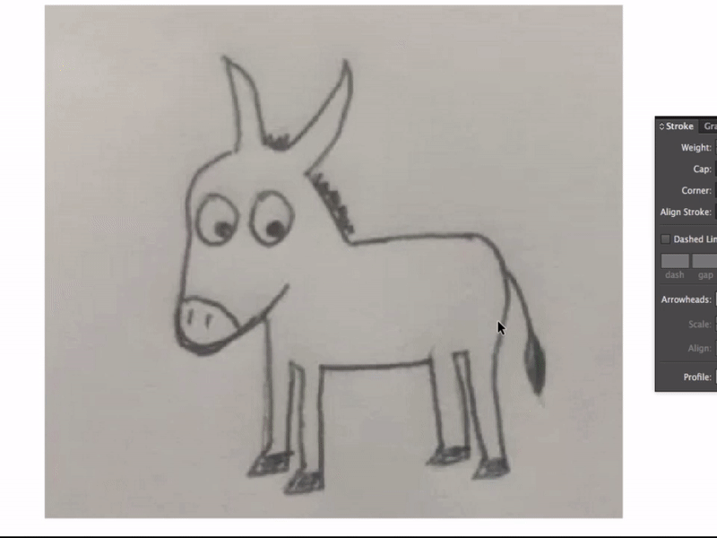 800x600 How To Turn A Drawing Into A Vector In Simple Steps