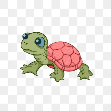 Turtle Cartoon Vector