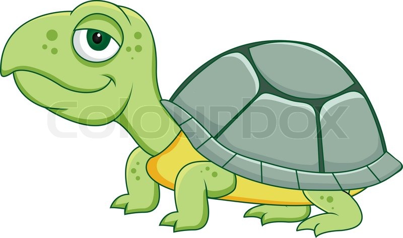 800x473 Funny Turtle Cartoon Stock Vector Colourbox