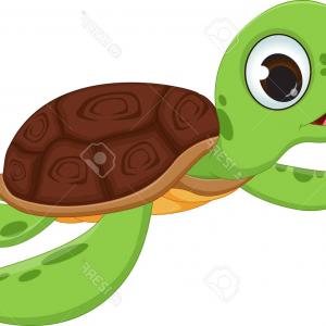 300x300 Photostock Vector Cute Sea Turtle Cartoon Catchsplace