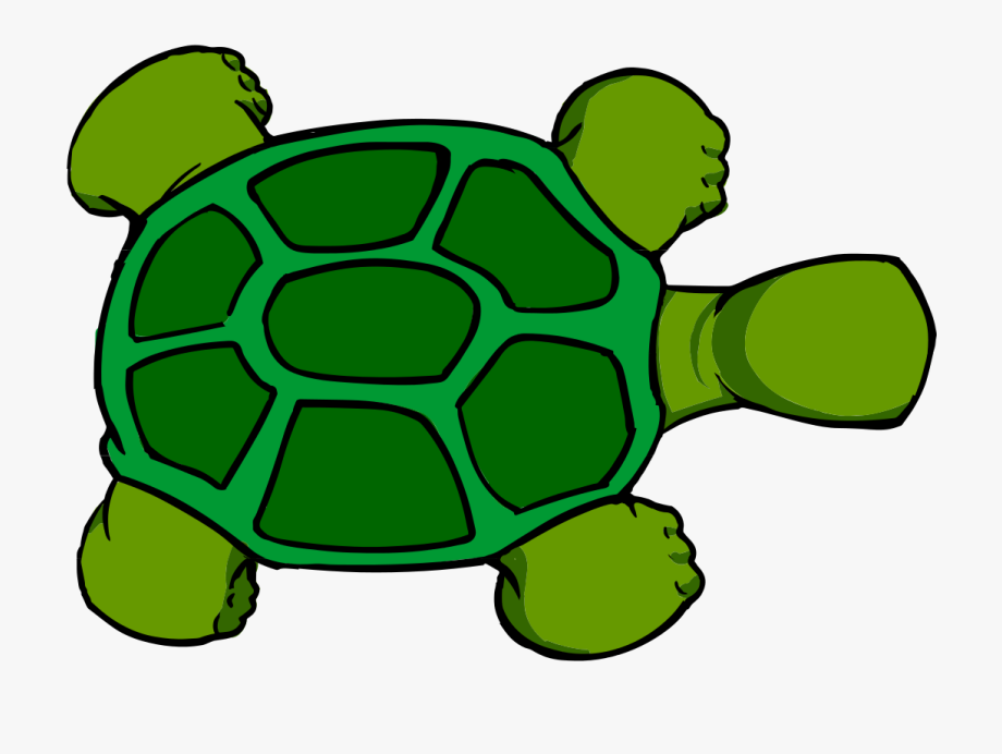 Turtle Cartoon Vector at Vectorified.com | Collection of Turtle Cartoon ...