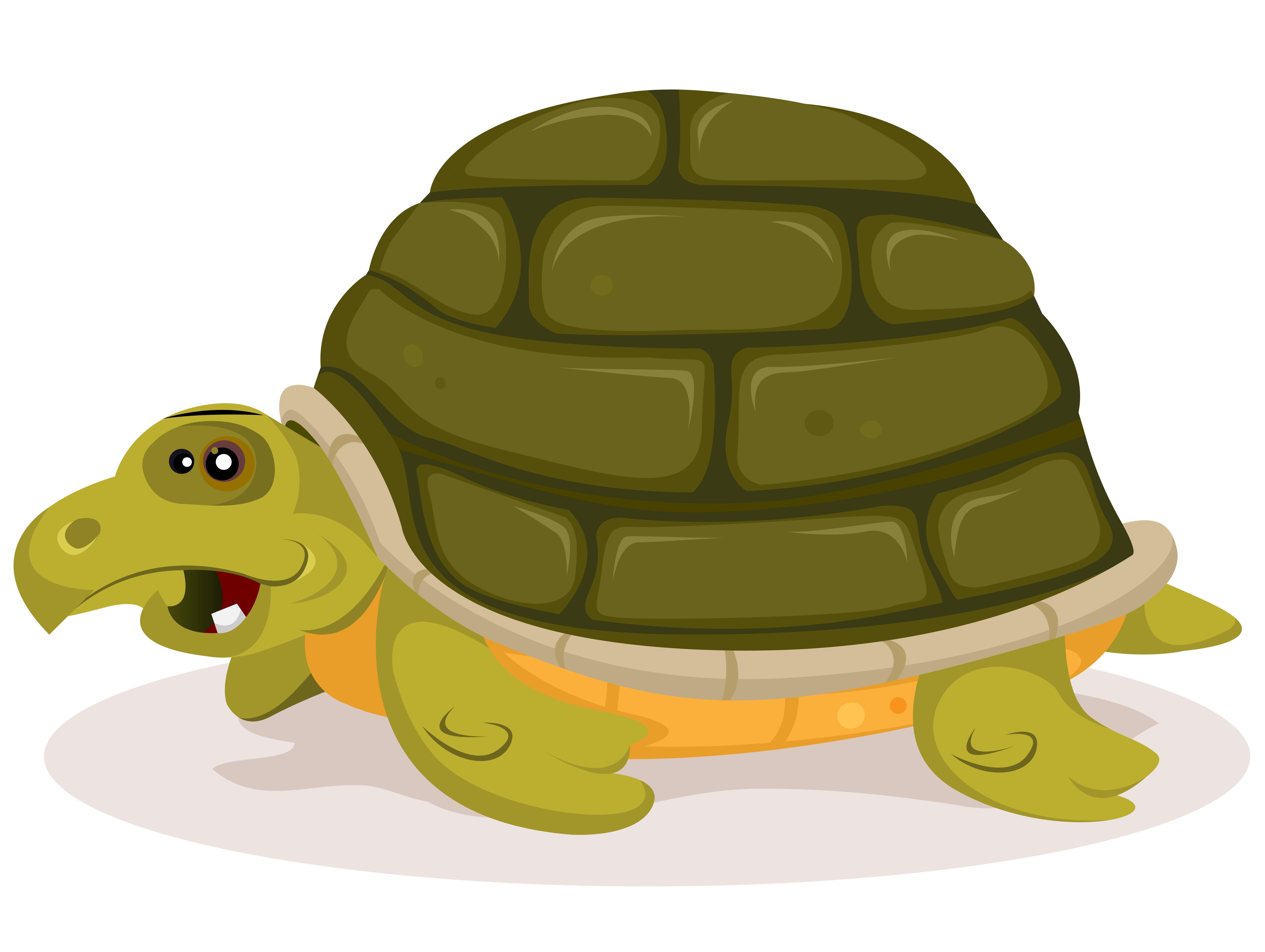 7087x5334 Turtle Cartoon Free Vector Art