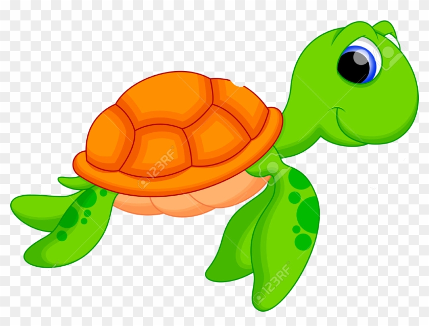 840x638 Turtle Vector Png