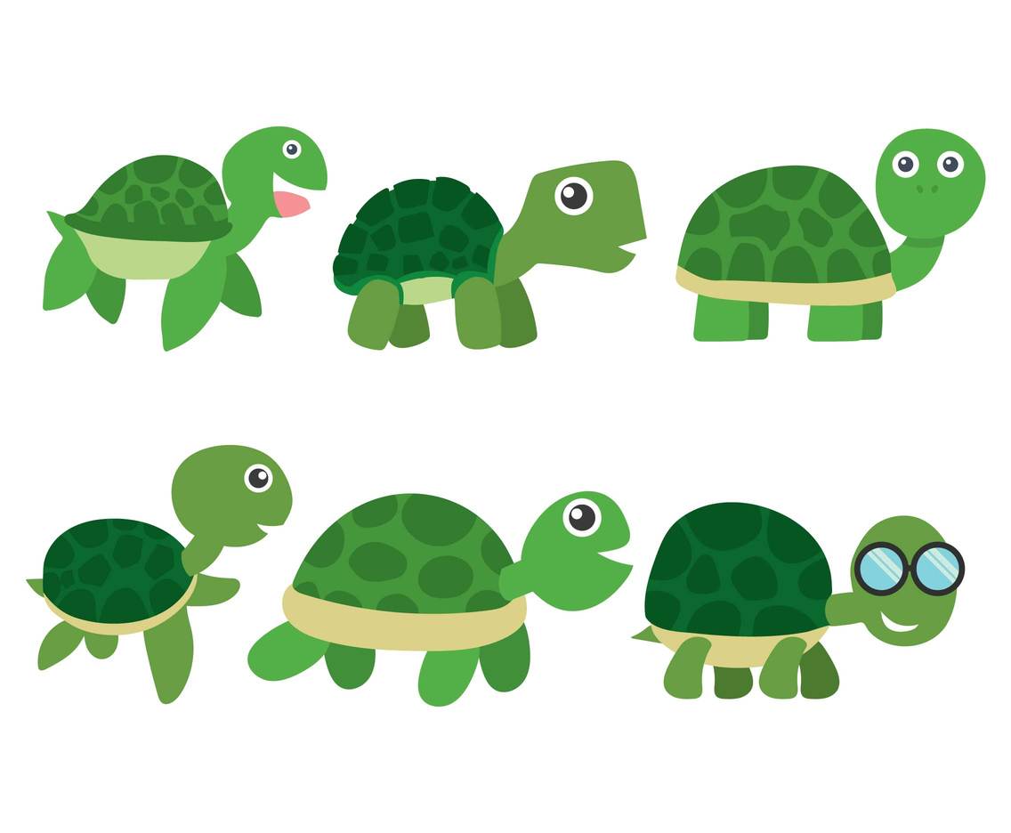 1136x936 Cartoon Turtle Vector Art