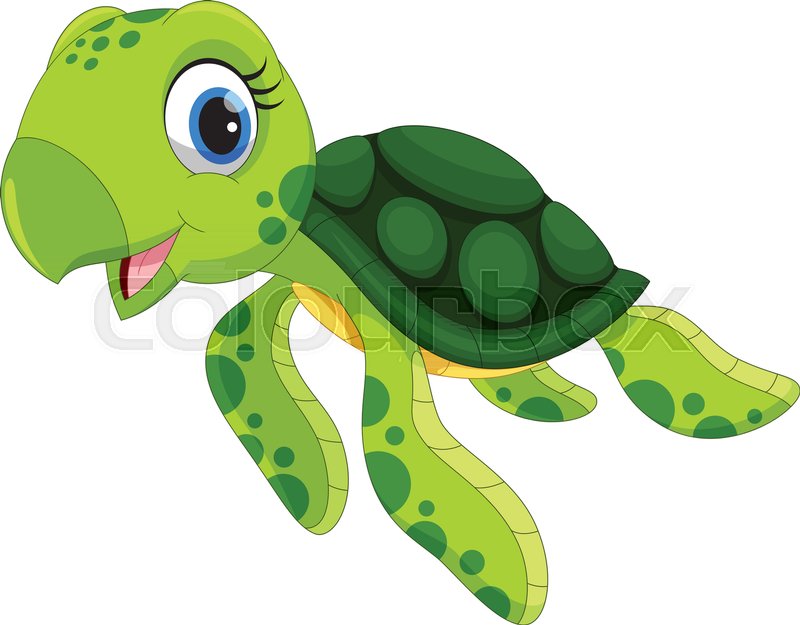 800x625 Vector Illustration Of Cute Turtle Stock Vector Colourbox