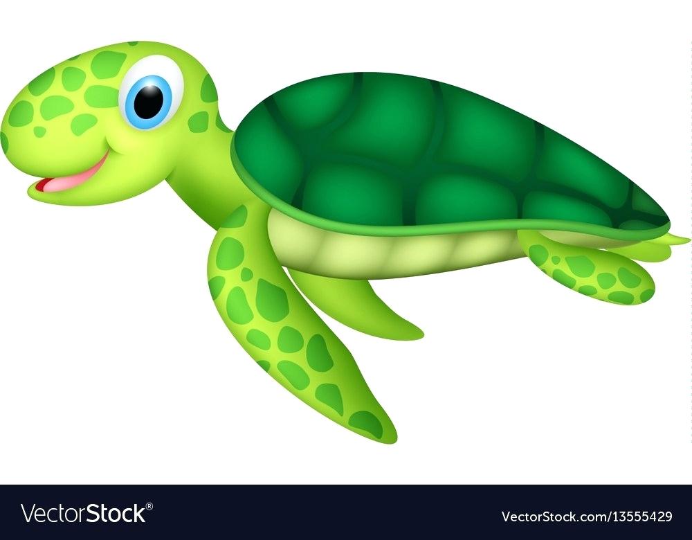 1000x780 Baby Cartoon Turtle