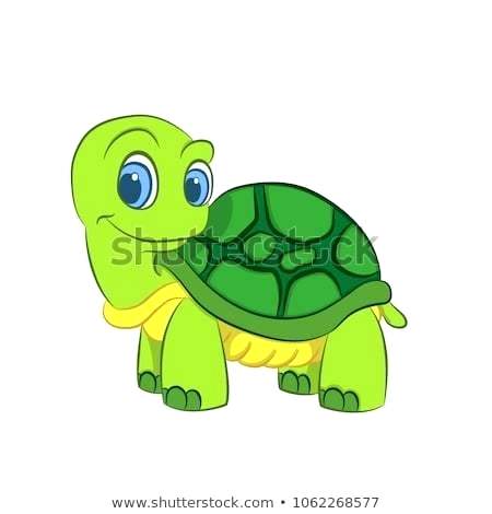 450x470 Baby Cartoon Turtle Nas