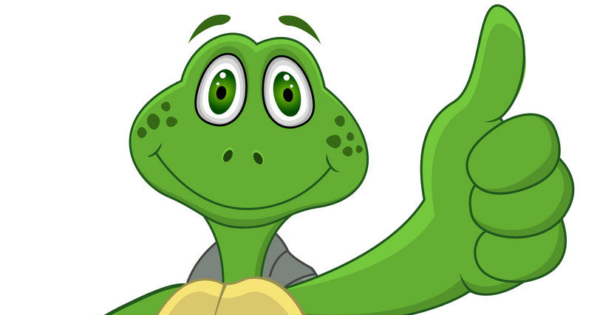 600x315 Cute Funny Turtle Cartoon Vector