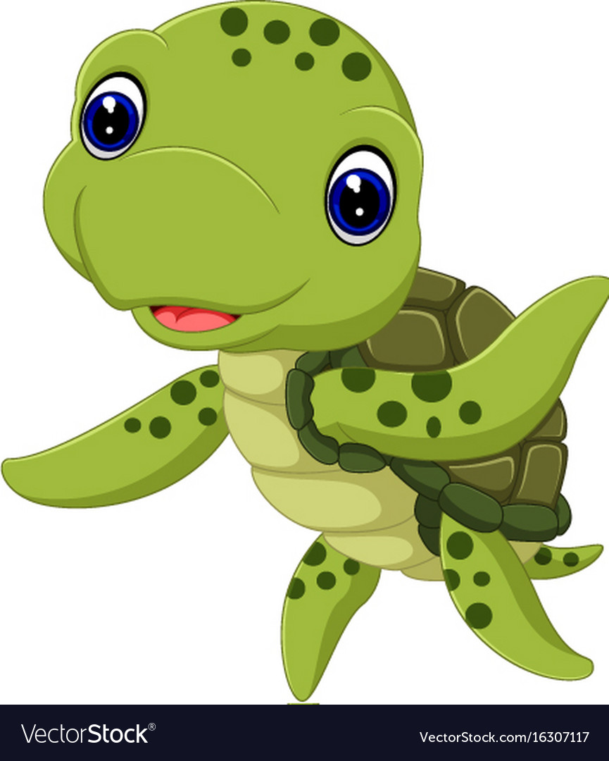 Turtle Cartoon Vector At Vectorified.com | Collection Of Turtle Cartoon ...