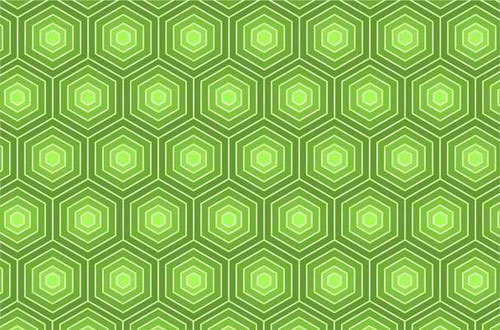 Turtle Shell Pattern Vector