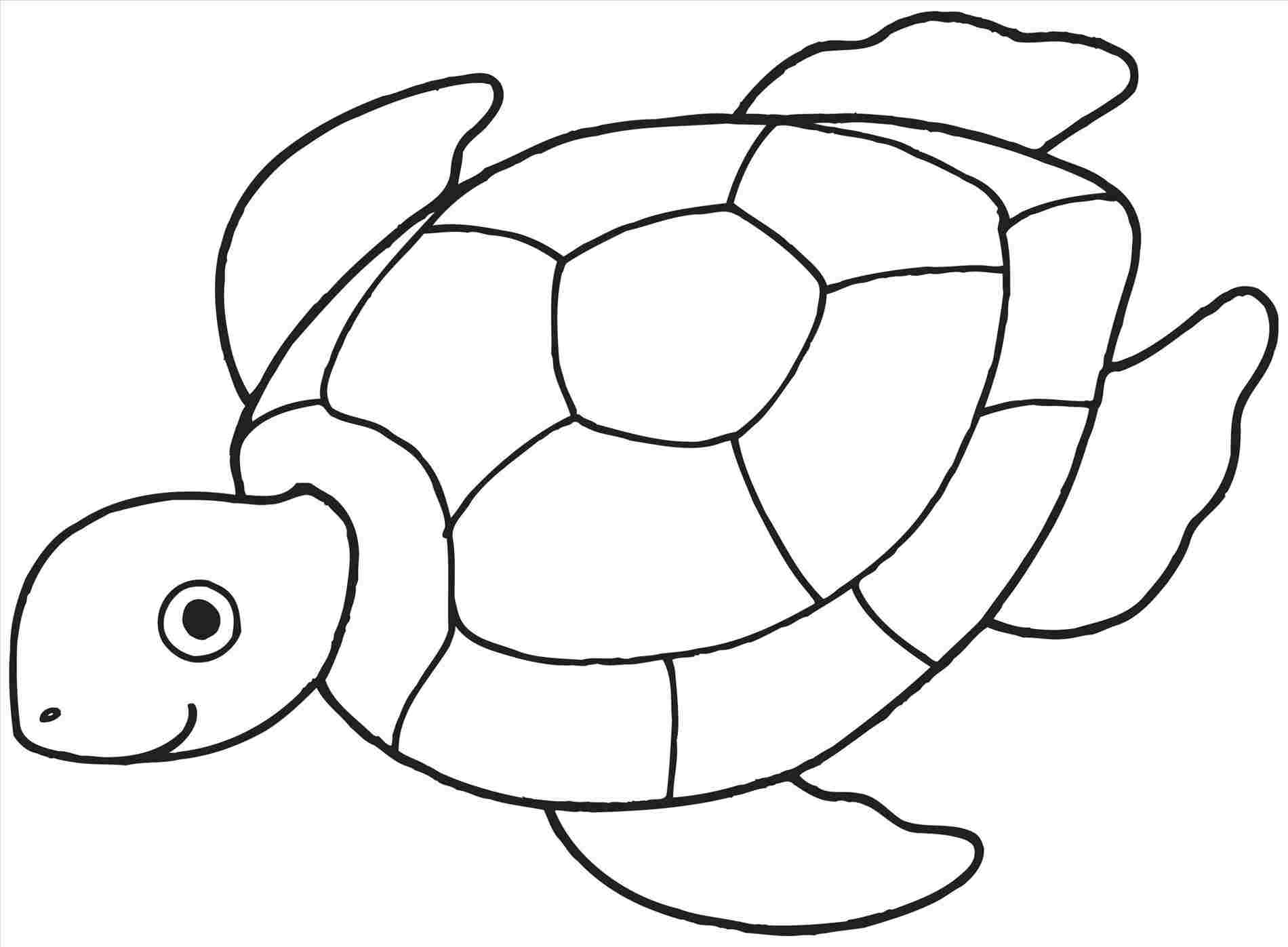 Turtle Shell Pattern Vector at Vectorified.com | Collection of Turtle ...