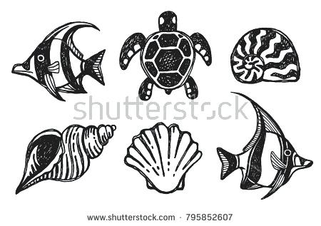 Turtle Shell Pattern Vector at Vectorified.com | Collection of Turtle ...